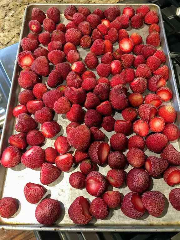 easily freeze strawberries
