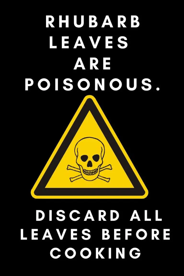 Easy to Make diabeticFriendly SugarFree Rhubarb Pie. The Naked Diabetic