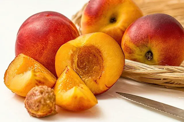 fresh peaches for sugar-free peach cobbler recipe