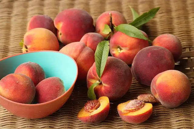 fresh peaches - Sugar-Free Peach Cheesecake Recipe