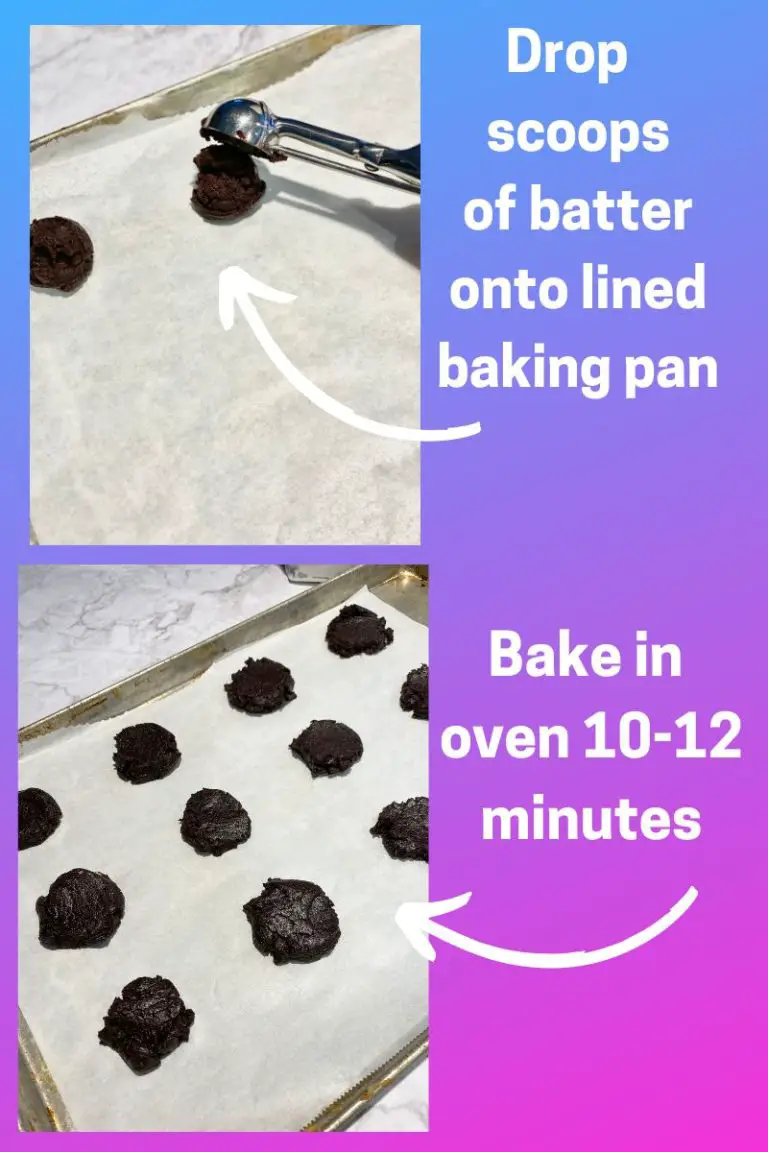 Easy Sugar Free Diabetic Chocolate Cookie Recipe